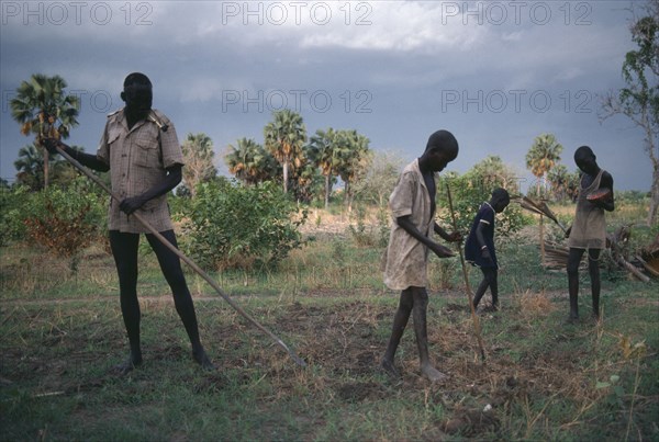 SUDAN, Farming, Dinka villagers planting groundnuts using primitive tools.