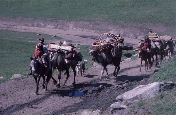 CHINA, Xinjiang Province, Altai Region, Kazakh migration from Spring to Summer pastures.  Adults and children on horses leading loaded camel train.