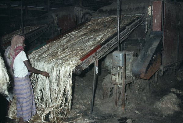 INDIA, West Bengal, Calcutta, Male worker in Fort Gloster jute mill feeding raw jute on to machinery.