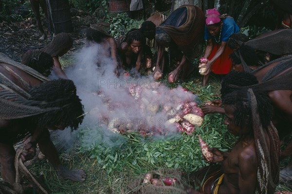 INDONESIA, Irian Jaya, Baliem Valley, Dani tribeswomen steaming sweet potatoes in traditional oven made from grass and hot stones.