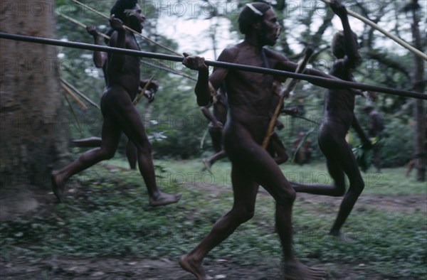 INDONESIA, Irian Jaya, Baliem Valley, Dani tribal warriors recreating battle  with spears.