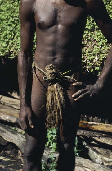 PACIFIC ISLANDS, Melanesia, Vanuatu, Tanna.  The Nambas.  Cropped shot of tribesman wearing penis sheath.