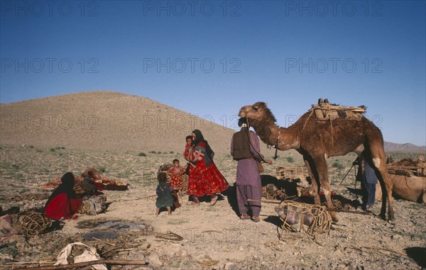 AFGHANISTAN, Nomadic LIfestyle, Nomad family with camel preparing to move.