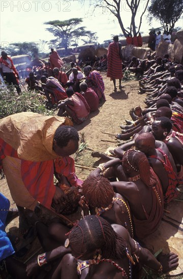 KENYA, Kajiado, Maasai Moran have the fat from a sacrificial cow daubed on them as well as taking a bite from its flesh during the ceremony that will bring them into manhood.