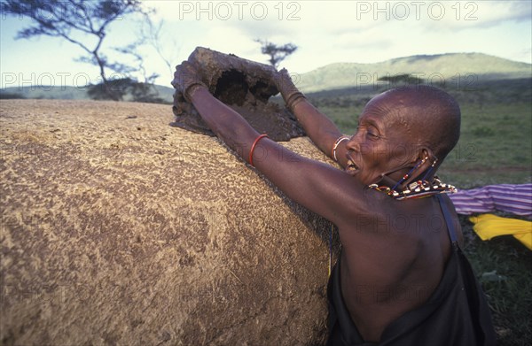 KENYA, Kajiado, A Maasai woman covers her hut with cow dung which has the effect of waterproofing the roof .