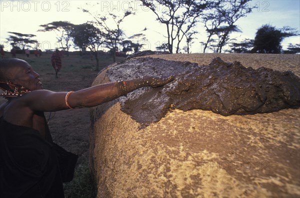 KENYA, Kajiado, A Maasai woman covers her hut with cow dung which has the effect of waterproofing the roof .