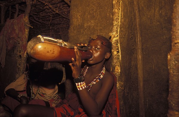 KENYA, , A Maasai Moran drinks traditional honey beer as part of his initiation ceremony into manhood. He will live inside the moran village for several months.