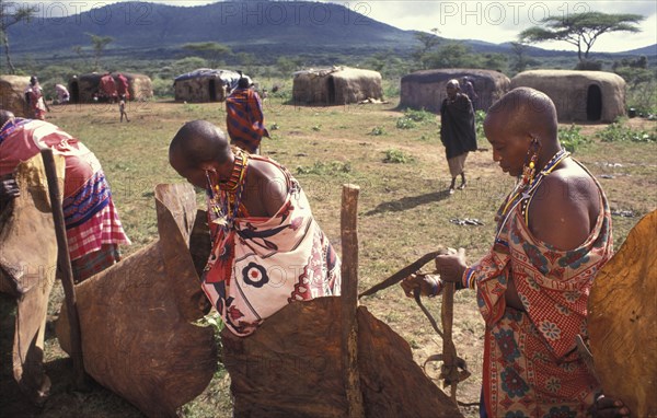 KENYA, Kajiado, Maasai women set up a fence within the Moran village prior to the feast which will end the Morans or young warriors journey into manhood