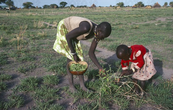 SUDAN, Farming, Dinka mother and young daughter working together in fields.