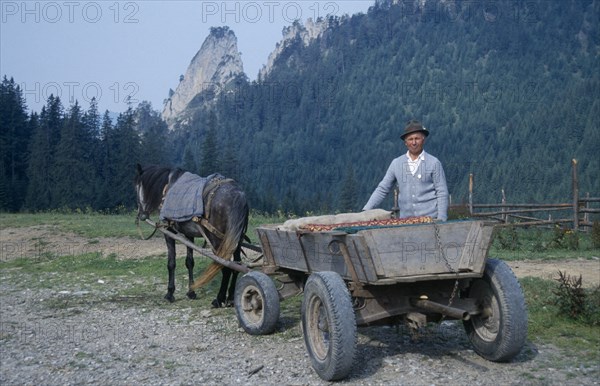 ROMANIA, Carpathian Mountains, Farmer with horse drawn wooden cart.