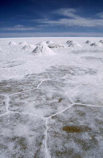 BOLIVIA, Uyuni, Salar de Uyuni, Salt flats with salt shovelled in to piles awaiting collection