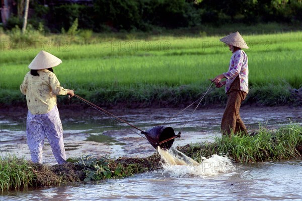 VIETNAM, South, Nha Trang, Two ladies draining a paddy field to replenish another in preperation for planting near the outskirts of town