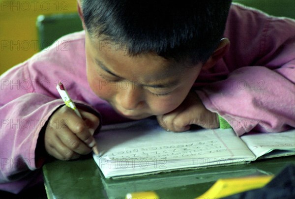 INDIA, Sikkim, Rumtek, Young Tibetan refugee boy in class