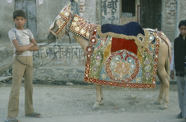 INDIA, Rajasthan, Jaipur, Boy holding pony wearing highly decorated saddle cloth and bridle in preparation for wedding ceremony.