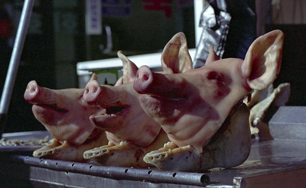 SOUTH KOREA, Pusan, Central Pusan, Chagalchi Fish Market with three pig heads on display