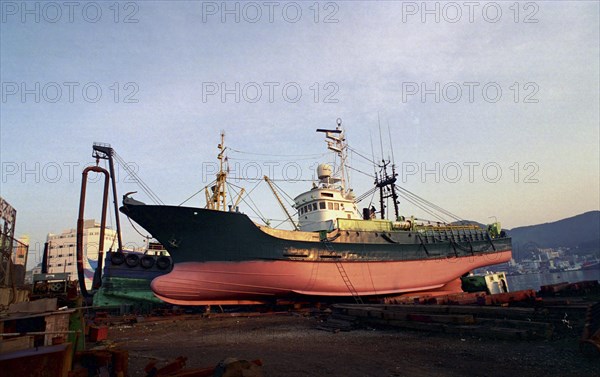 SOUTH KOREA, Pusan, View of ships in for repair at the dry docks