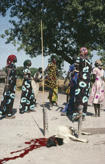 SUDAN, Festivals, Dinka sacrificial ceremony.  The three women wearing the same dress are all married to the same man.