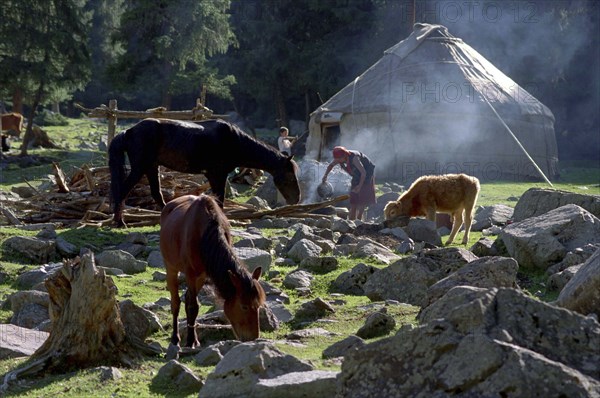 CHINA, Xinjiang, Tianchi, Heavenly Lake. Grazing horses and cow among rocks near a Yurt with woman and boy outside