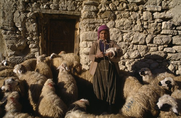 TURKEY, Agriculture, Female shepherd with sheep