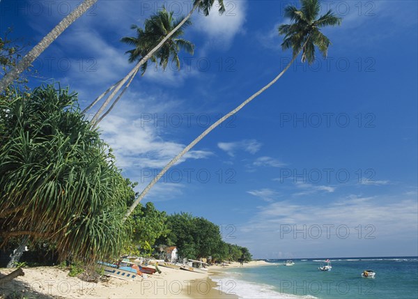 SRI LANKA, Unawatuna, Narrow strip of sandy beach lined with vegetation and overhanging palm trees moored boats and partly seen buildings.