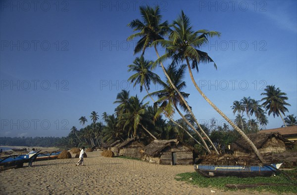 SRI LANKA, Tangalle, Fishing boats pulled up onto sandy beach of south coast fishing town and resort lined with thatched huts and overhanging palm trees.