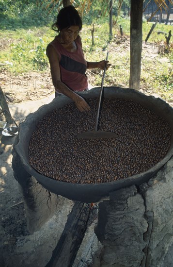 BRAZIL, Amazonas, Rio Maues, Igarape Arua. Satere Maue Indian woman roasting Guarana seeds on a clay oven