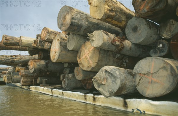 BRAZIL, Amazonas, Amazon River, Jauari district of Itacoatiara. Cut rainforest timber floating down river on a barge