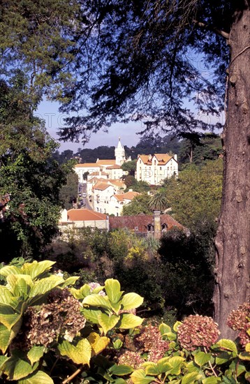 PORTUGAL, Lisbon, Sintra, View of the Camara Municipal or Town Hall on the hillside Sintra Vila or Old Town area