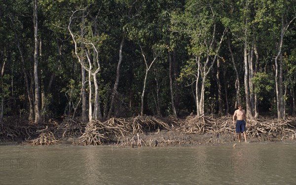 BANGLADESH, Khulna, Kuataka, Sundarbans.  Foreign tourist walking beside mangrove forest.