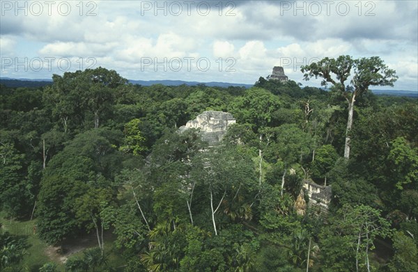 GUATEMALA, Tikal, View over treetops toward the 70 meter Temple IV from the Mundo Perdido or Lost World area of the great Mayan ruins