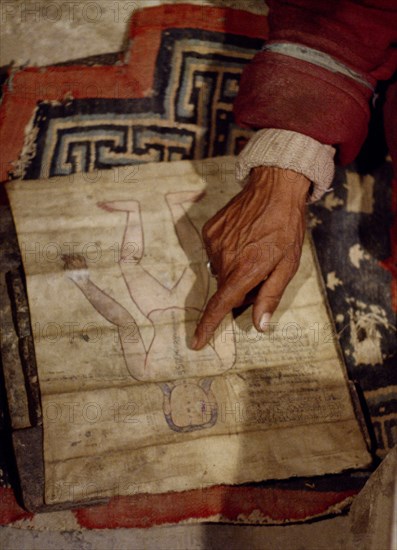 INDIA, General, Amji doctor pointing to a medical chart Konchert Zanskar Layuredic