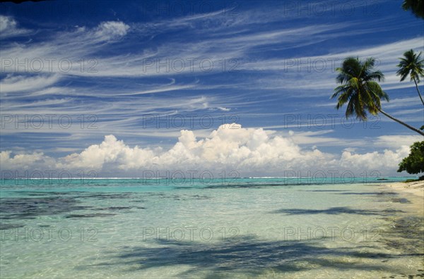 PACIFIC ISLANDS, Polynesia, Society Islands, Moorea.  Beach and overhanging palms with dramatic cloudscape.