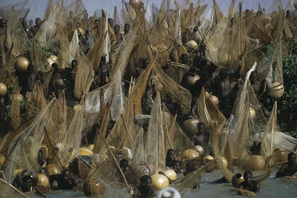 NIGERIA, North, Argungu, Men with nets rushing into the muddy water from the riverbank for the Fishing Festival