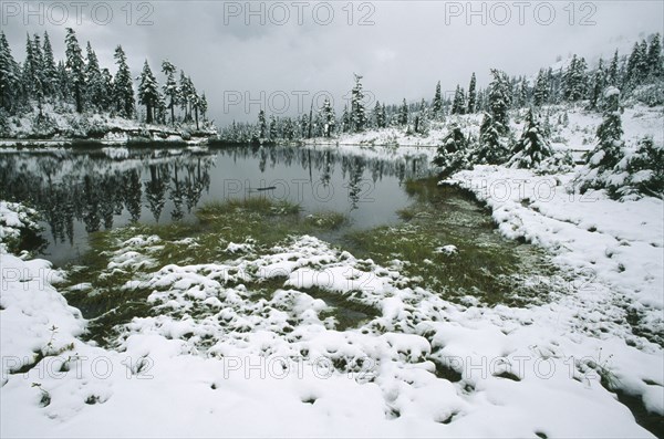 USA, Washington State, Mount Baker National Forest, First winter snowfall on Mount Baker in the North Cascades