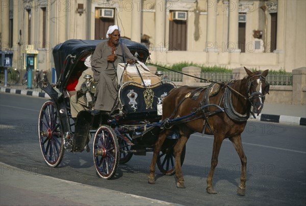 EGYPT, Nile Valley, Luxor, Caleche horse drawn carriage on city road.