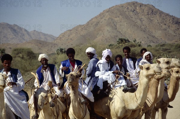 ERITREA, Nomadic People, Nomads riding camels on road between keren and Agordat with backdrop of hills.