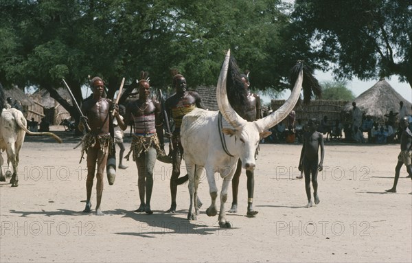 SUDAN, Dinka People, Customs and Rituals, Dinka Cattle festival or Fertility festival with group of young men with large horned bull