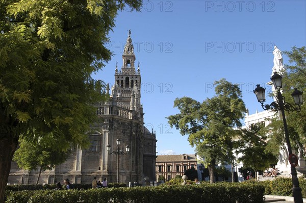 SPAIN, Andalucia, Seville, View of Seville cathedral and La Giralda tower