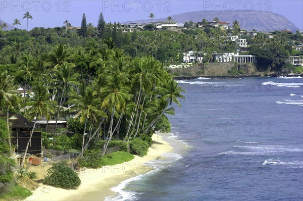 USA, Hawaii, Oahu, Black Point. View over sandy beach with a mass of palms and small wooden hut