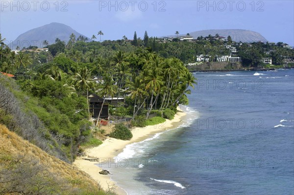 USA, Hawaii, Oahu, Black Point. View over sandy beach with a mass of palms and small wooden hut