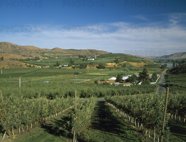 USA, Washington State, Chelan, Mason. View over fruit orchards towards Banjo Creek Farm and Dry Lake.