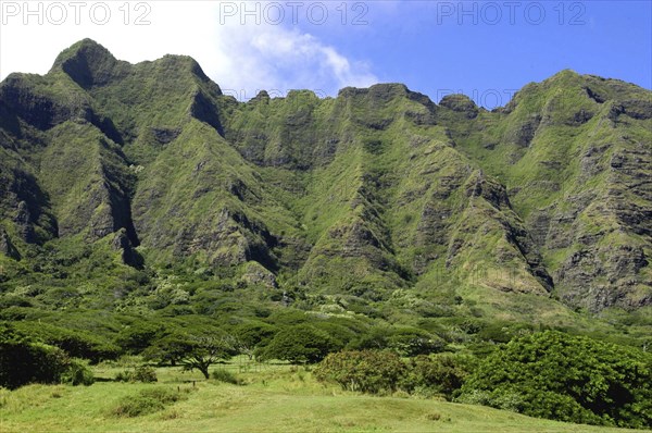 USA, Hawaii, Oahu, Kahuku. Vast green rocky hills with trees at the base