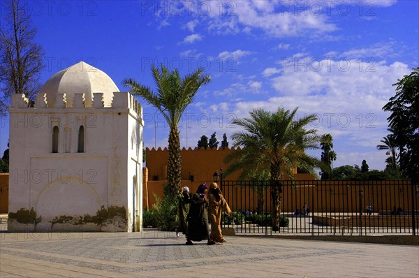 MOROCCO, Marrakech, White building surrounded by palms