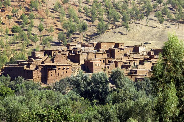 MOROCCO, Marrakech, Small group of village houses