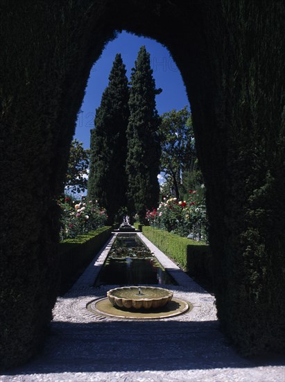 SPAIN, Andalucia, Granada, The Alhambra. Generalife Gardens with rectangular pond lined with roses and framed by arched hedge