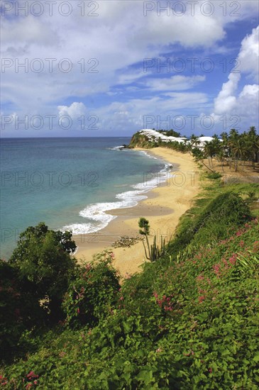 WEST INDIES, Antigua, Morris Bay, View from green cliffs over empty golden sandy stretch of beach