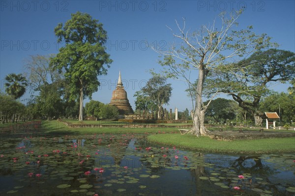 THAILAND, Bangkok Area, Sukhothai, View over lotus flowers on stream with chedi in background at Sukhothai Historical Park.