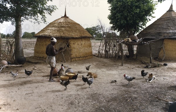 BURKINO FASO, Dori, Village scene with thatched mud huts and man feeding chickens.