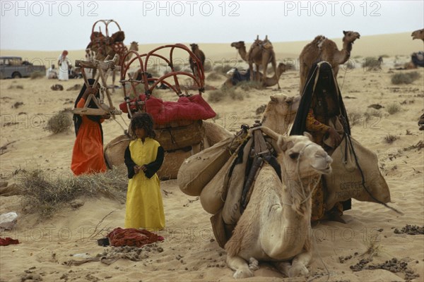 20033561 QATAR  Transport Bedouin people loading up camels to move camp