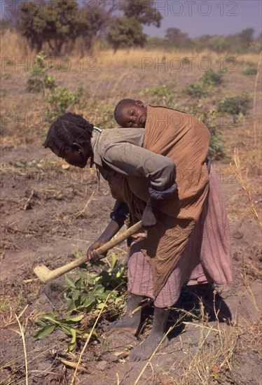 ZAMBIA, Angata District, Woman working in a field with a baby asleep in a papoose on her back